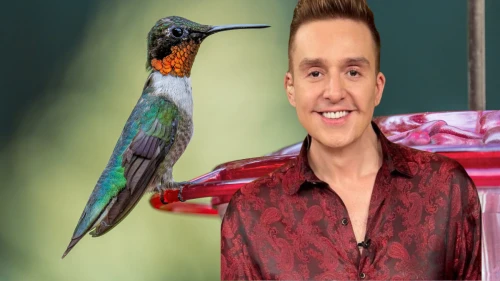 Un colibrí rojo “visita” a la hija de Daniel Bisogno durante audición para Matilda