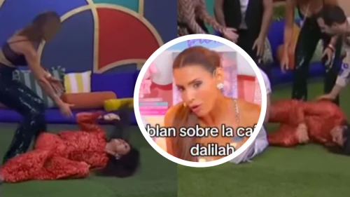 Mar Contreras pone en duda la caída de Dalilah Polanco en La Casa de los Famosos México; Marta Guzmán la desmiente con video