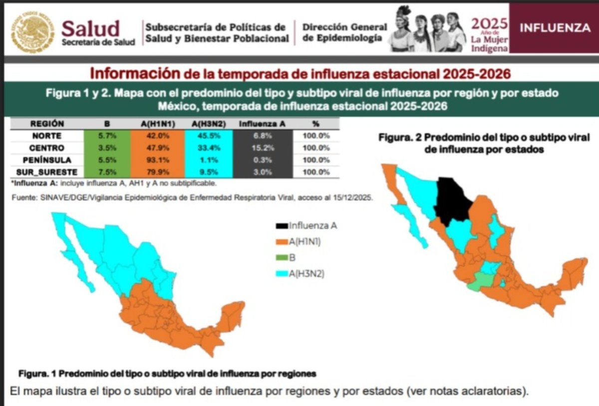 Influenza H3N2 avanza en México: CDMX y Nuevo León entre los estados con mayor presencia